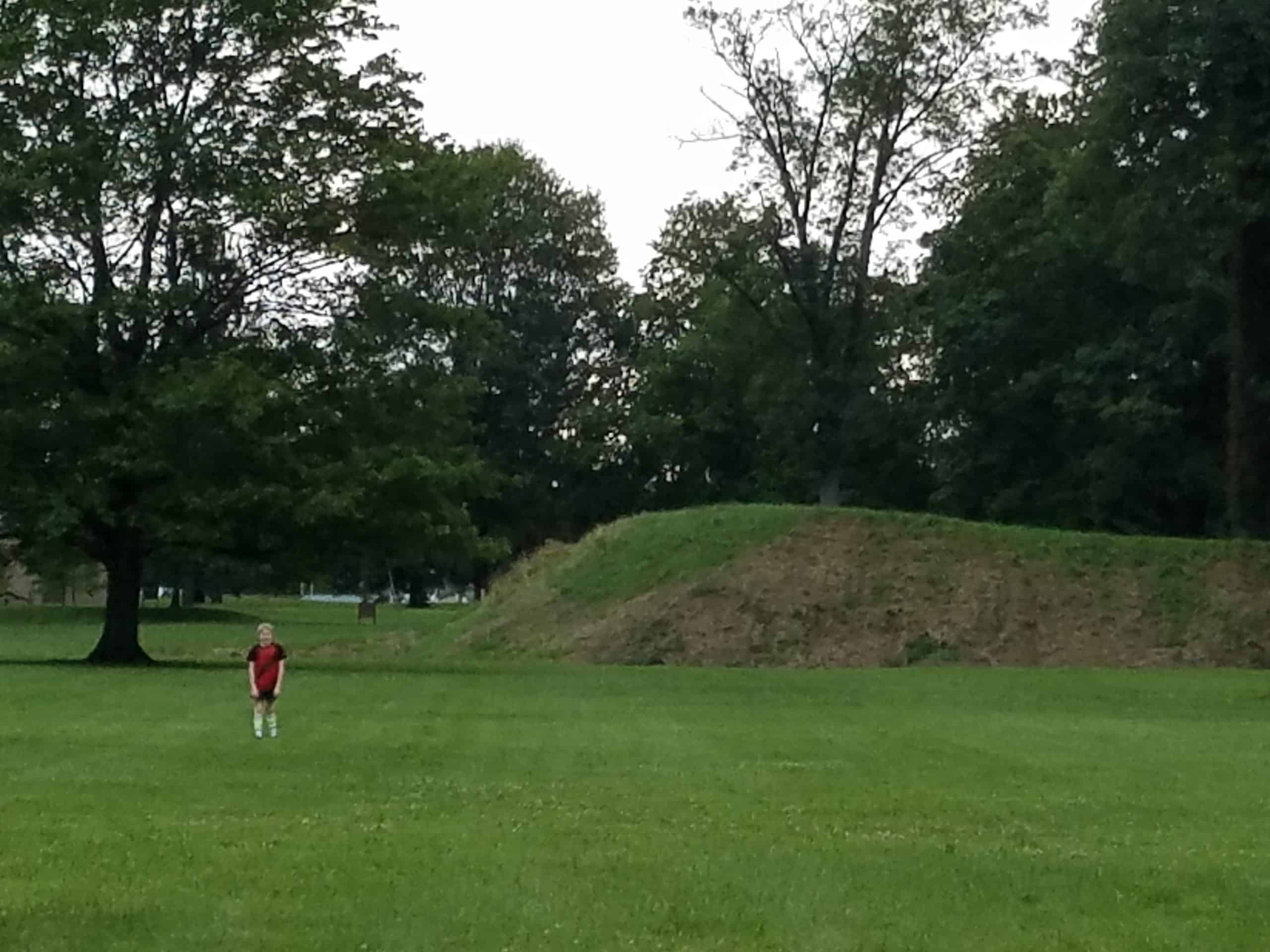Ground fortifications in Ohio - closer